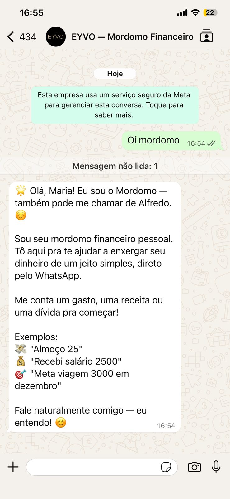 Primeiro contato com o Mordomo Financeiro da EYVO no WhatsApp